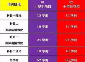 汽车驾照多少学时